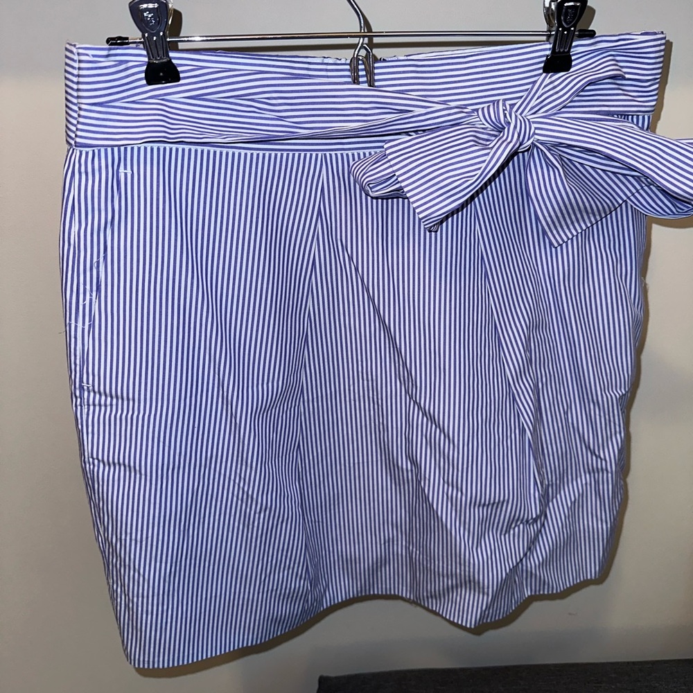 J Crew skirt